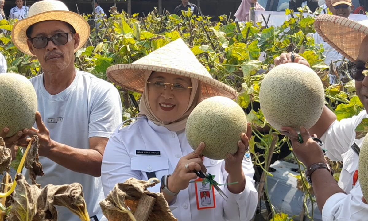 Intan Nurul Hikmah Harap Lahan Tidur Bisa Dimanfaatkan untuk Program Ketahanan Pangan