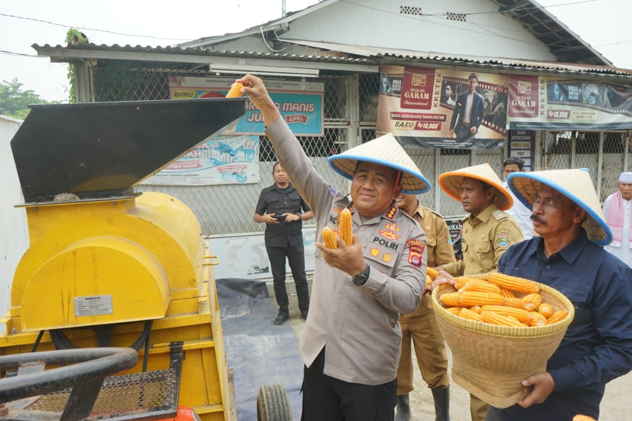 Tanam Jagung Serentak di Lahan 25 Hektare