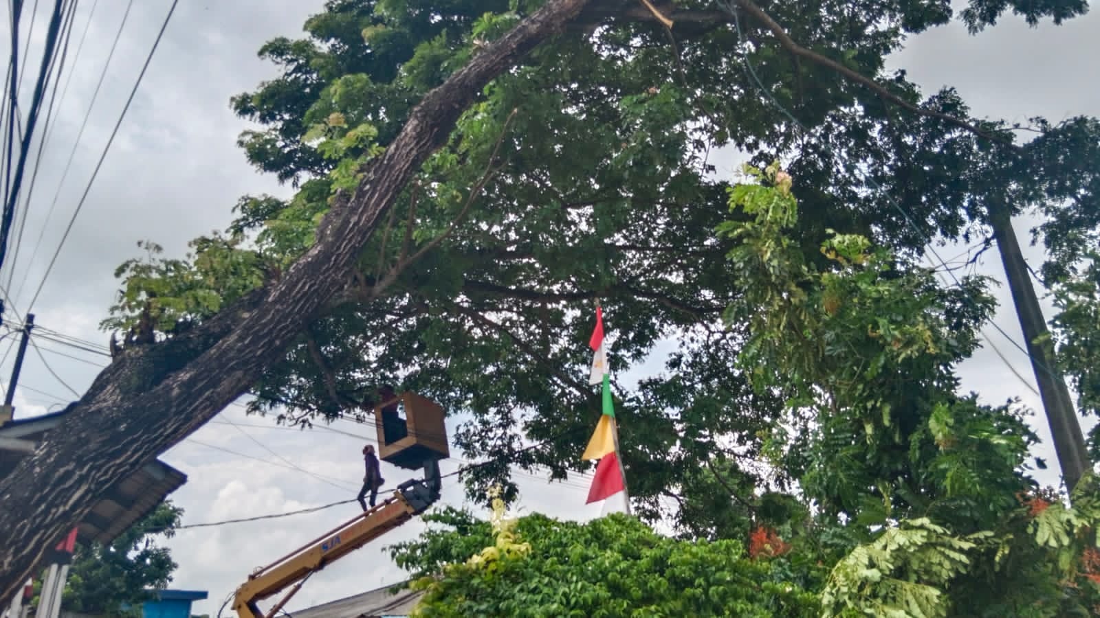 Musim Hujan, Warga Minta Pepohonan di Jalan Raya Ranca Labuh-Kukun-Cadas Dipangkas