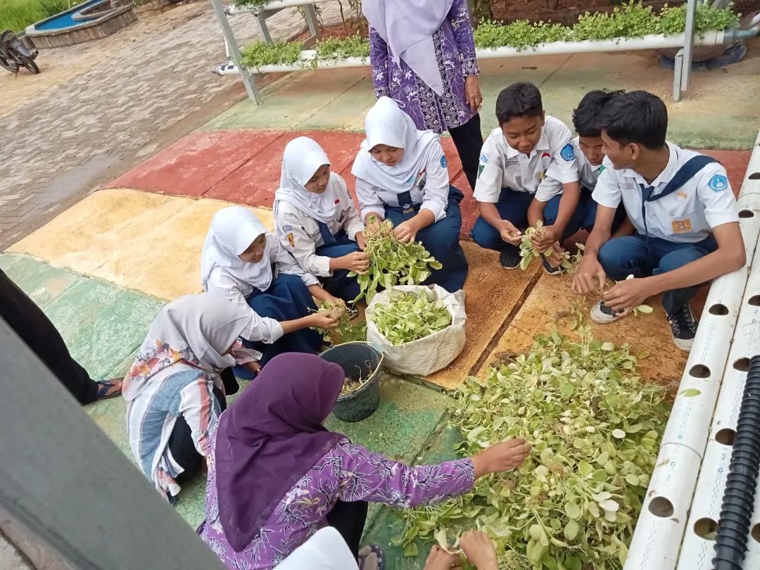 Jaga Pertanian Perkotaan, SMPN 4 Curug Lakukan Urban Framing 