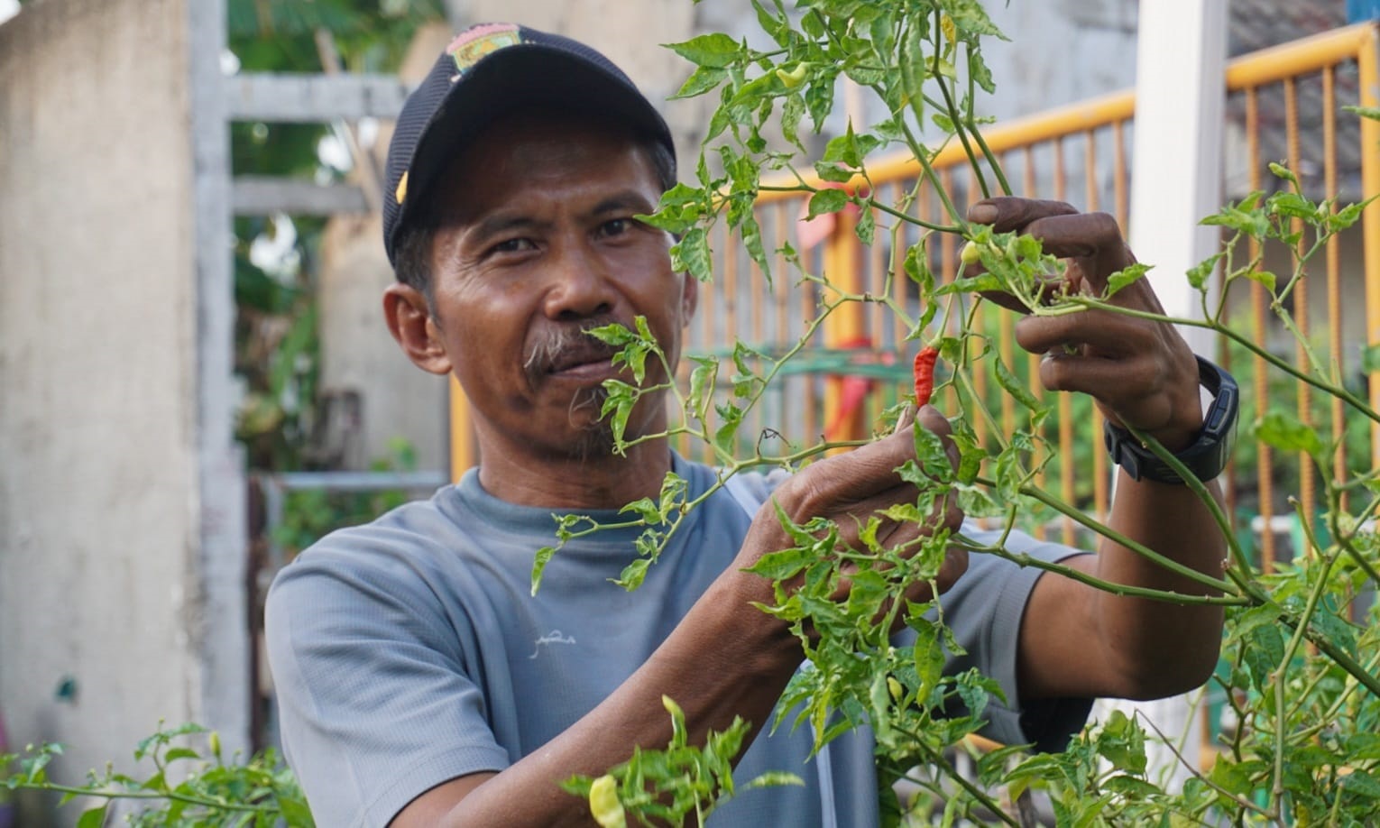 Warga Griya Persada Wajib Tanam Cabai Setan