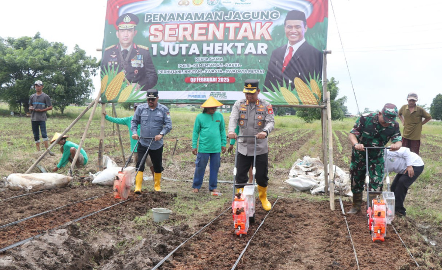 Kapolres Metro Tangerang Realisasi Asta Cita Presiden Prabowo, Penanaman Satu Hektare Jagung Serentak 