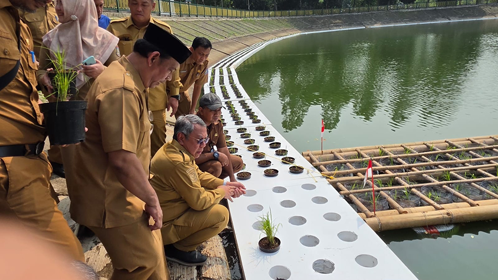 Tangsel Tak Punya Sawah, Tandon Ciater Disulap Jadi Lahan Padi