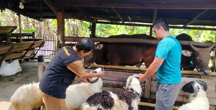 Penjualan Hewan Kurban Sepi