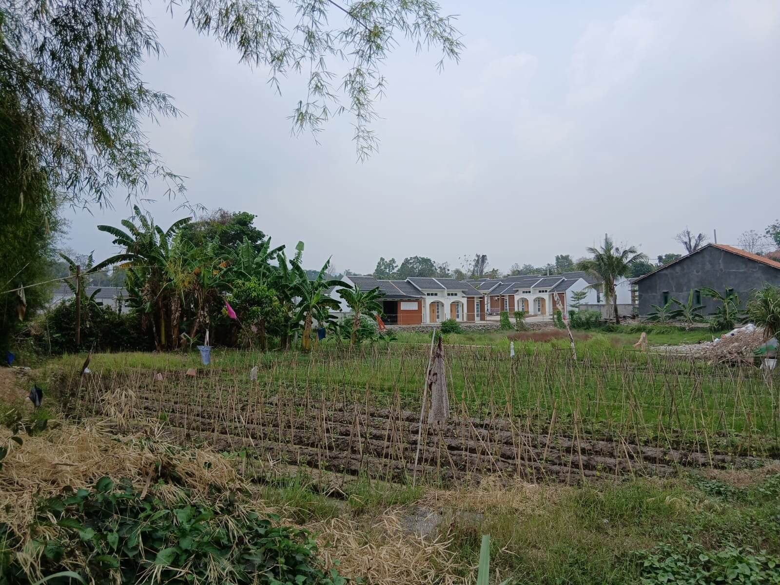 DKPP Distribusikan 44 Alsintan ke Poktan