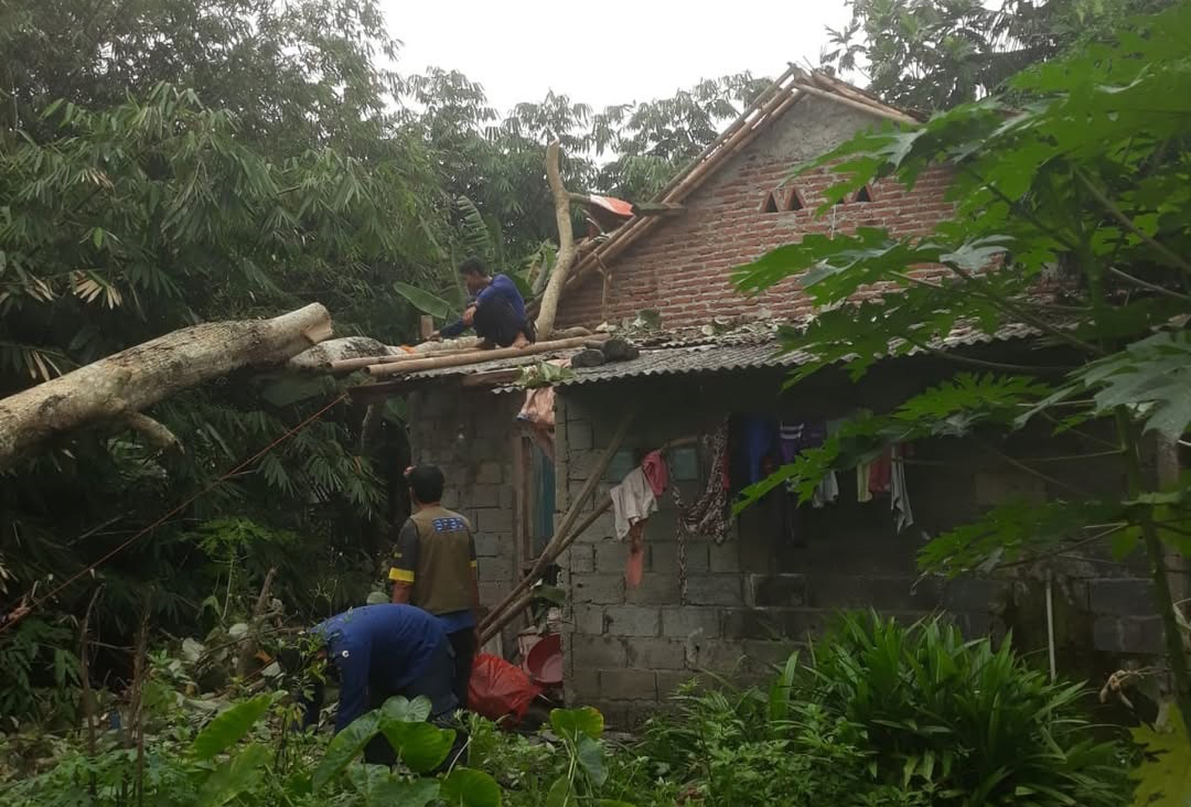 Angin Kencang, Pohon Tumbang Timpa Rumah