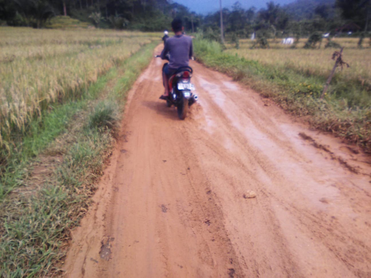 213 Jalan Desa di Lebak Diusulkan Masuk Program Bang Andra