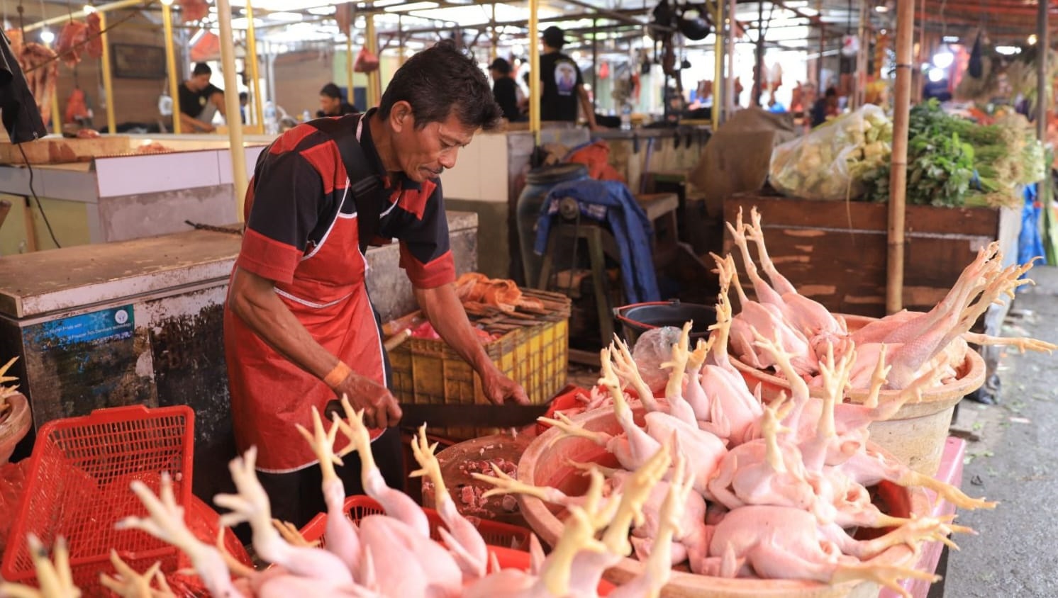 Harga Daging Ayam Merangkak Naik