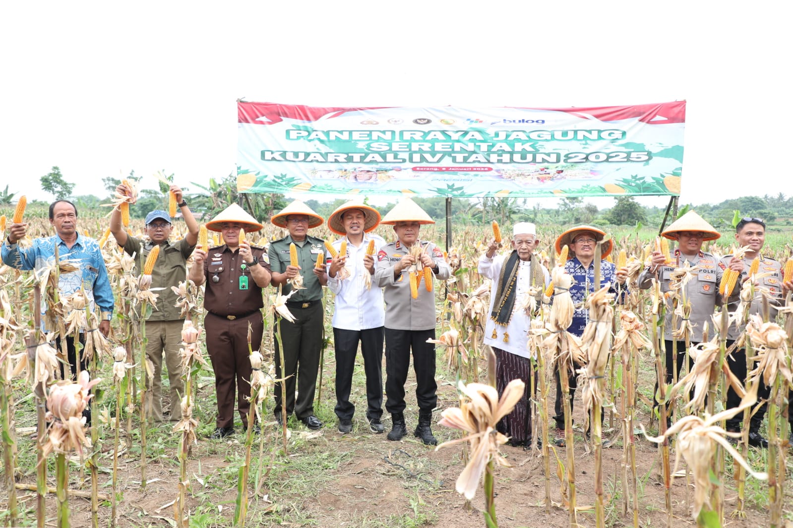 Optimalkan Lahan Kosong, Kapolda Dorong Pemkot Serang Tanaman Jagung