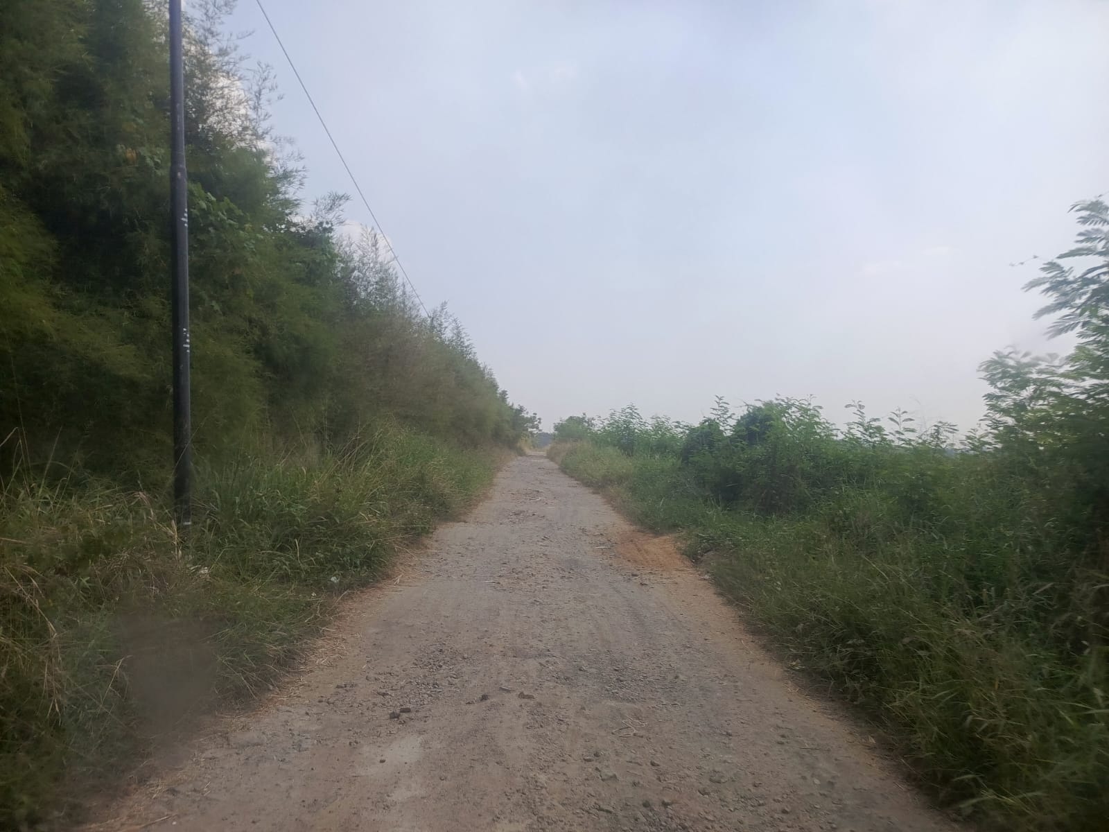 Najib Soroti Jalan Rusak Menuju Puskesmas Kibin