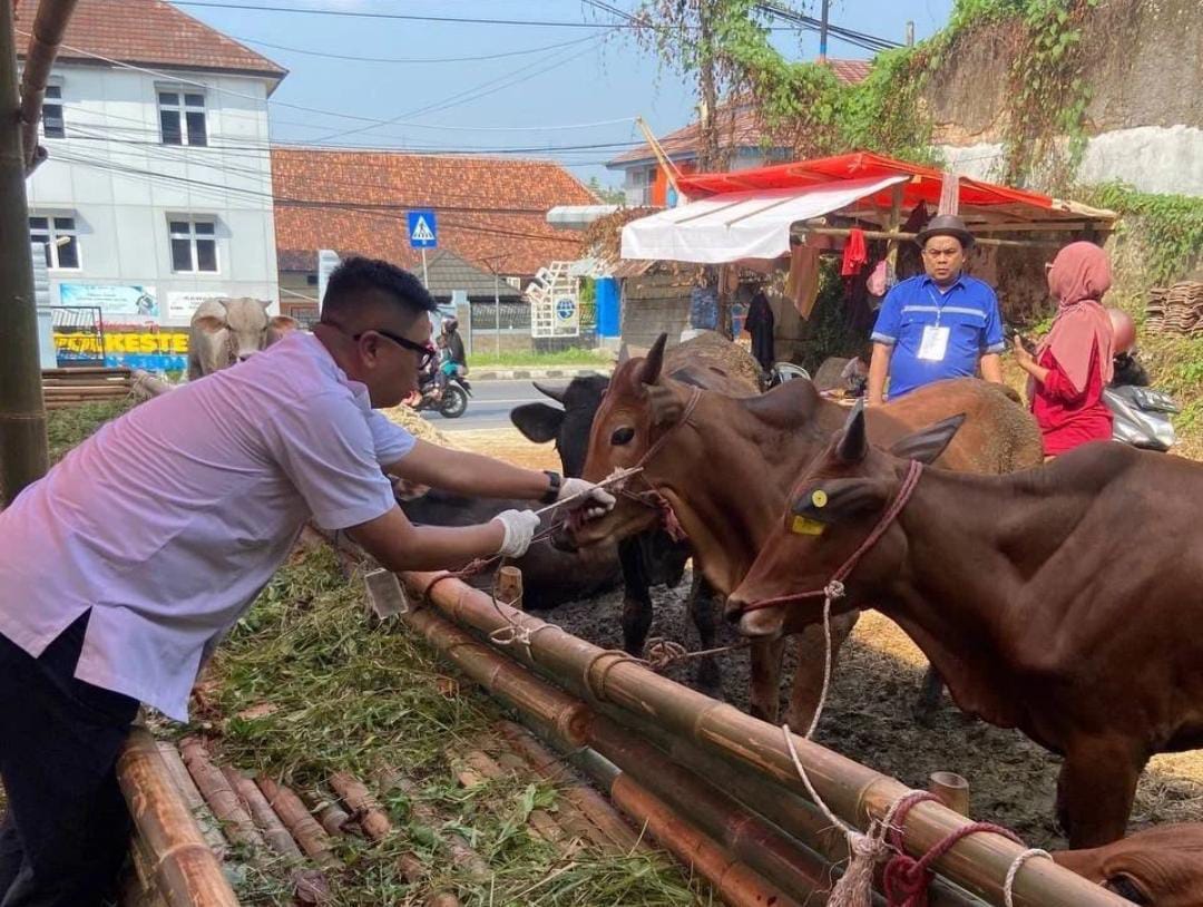 Disnakeswan Lebak Temukan Hewan Kurban  Terjangkit Sakit Mulut dan Mata