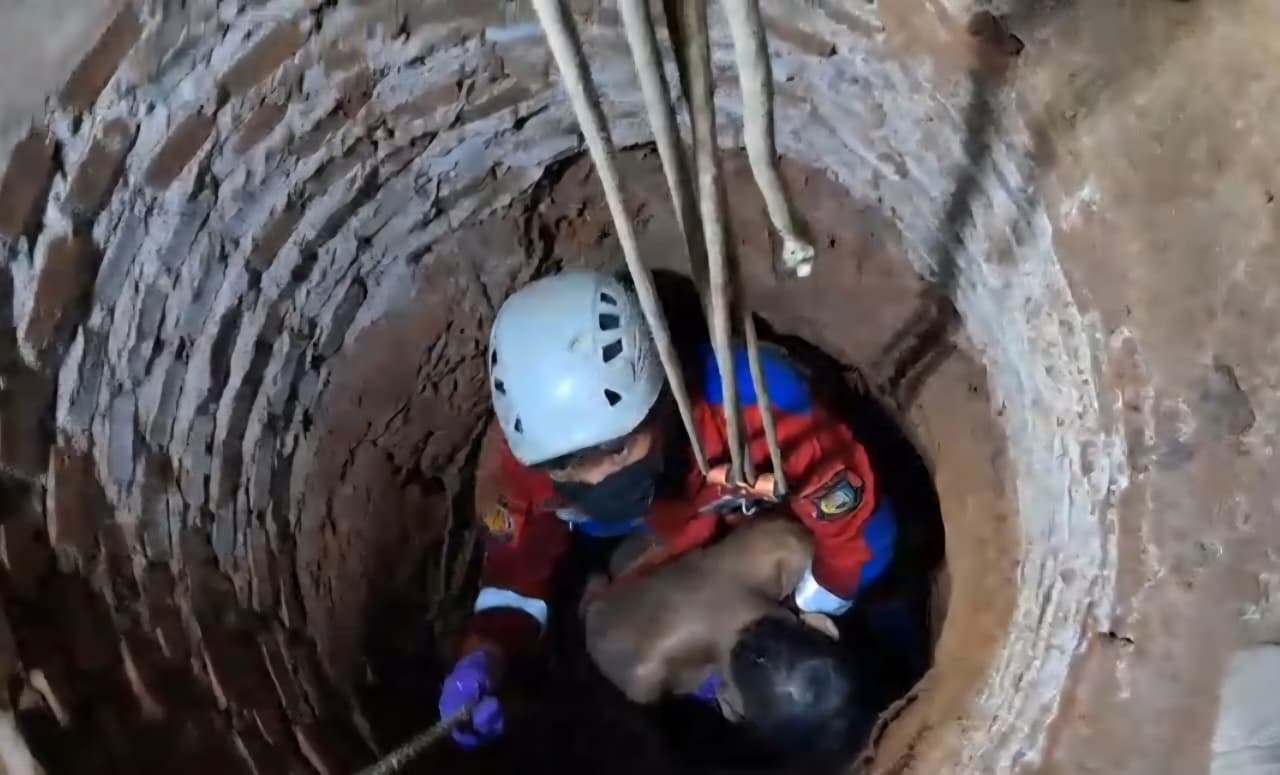 Kakek di Ciputat Ditemukan Tewas di Dalam Sumur