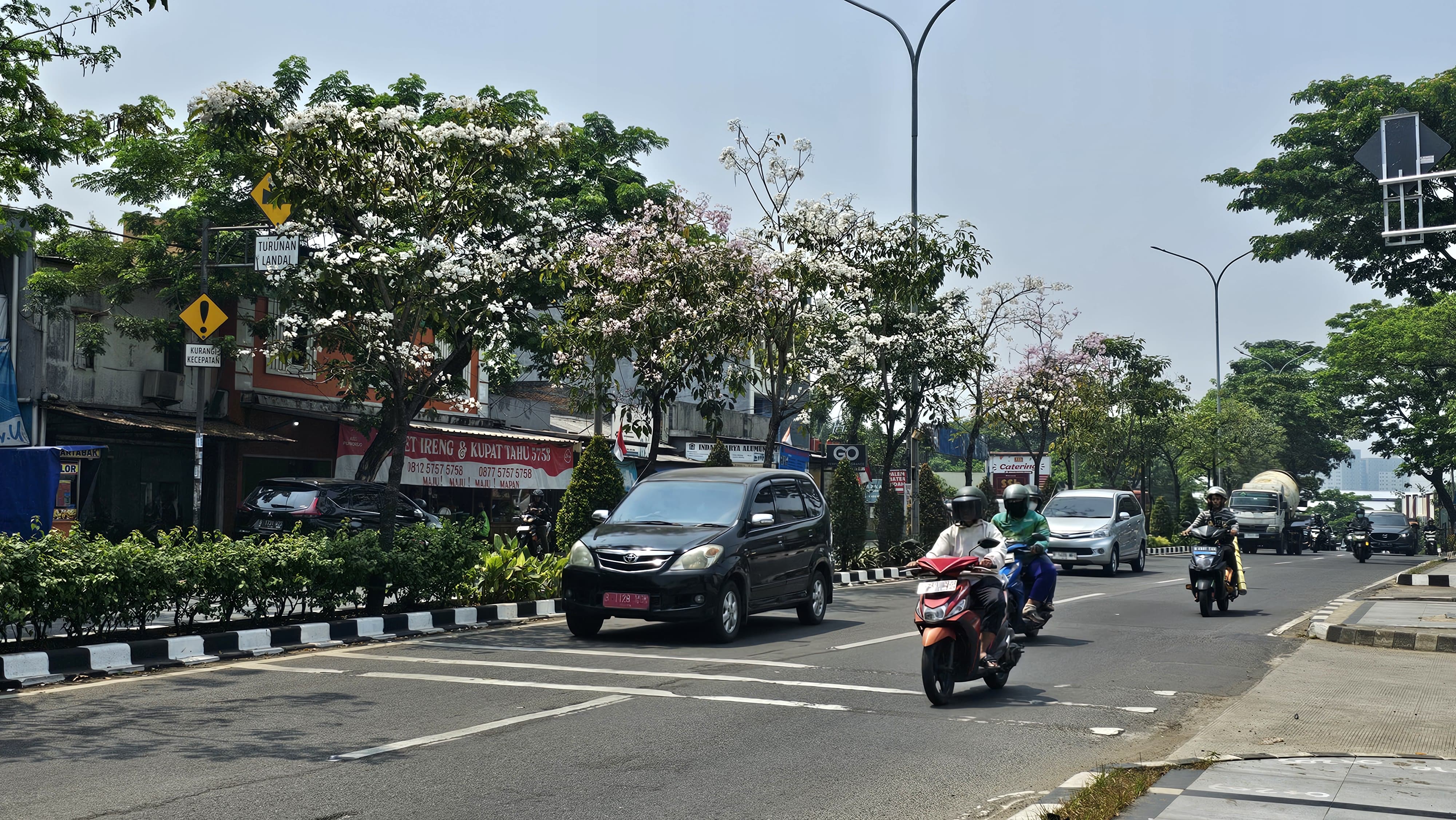  DLH Perbanyak Tanam Pohon Tabebuya di Kantor Pemerintahan