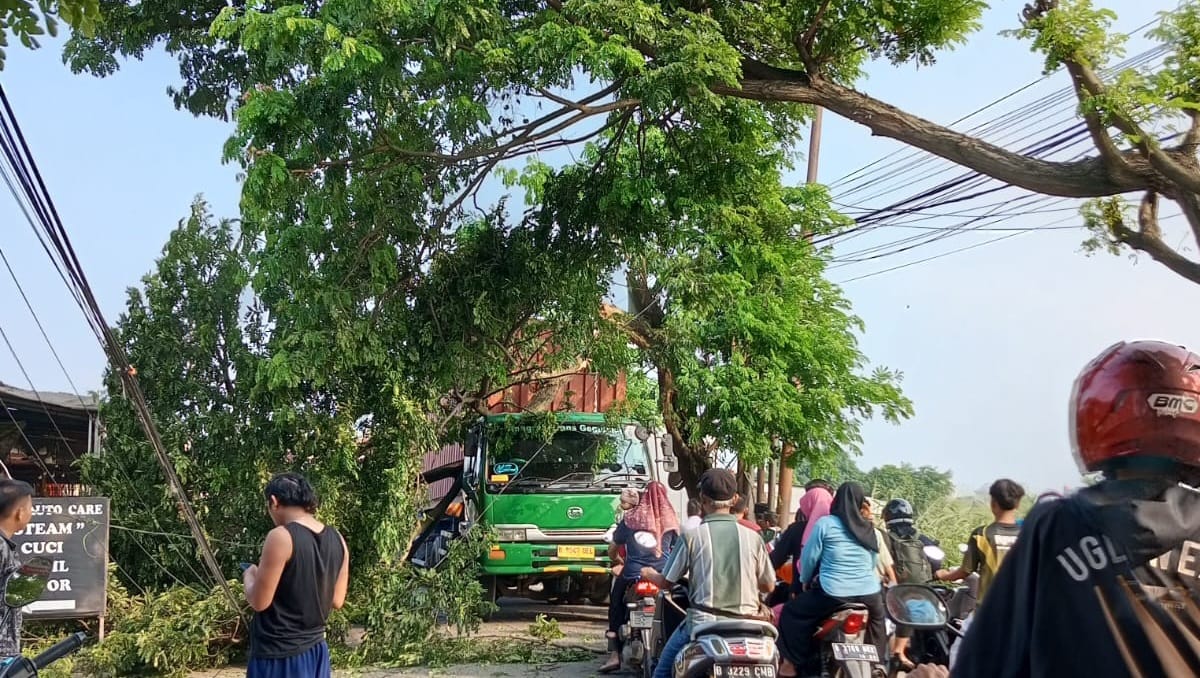 Kontainer Hantam Pohon, Sebabkan Kemacetan di Sepatan