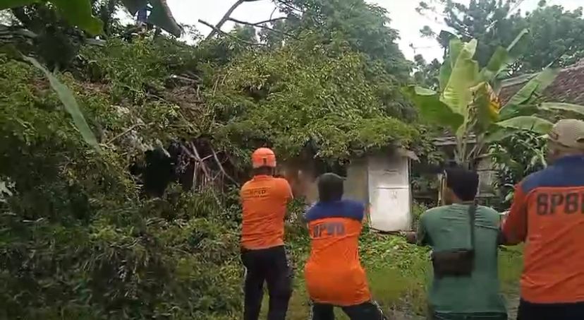 Pohon Tumbang Timpa Asrama Polisi