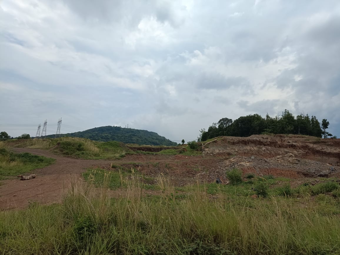 Ribuan Hektare Lahan di Kabupaten Serang Kritis 