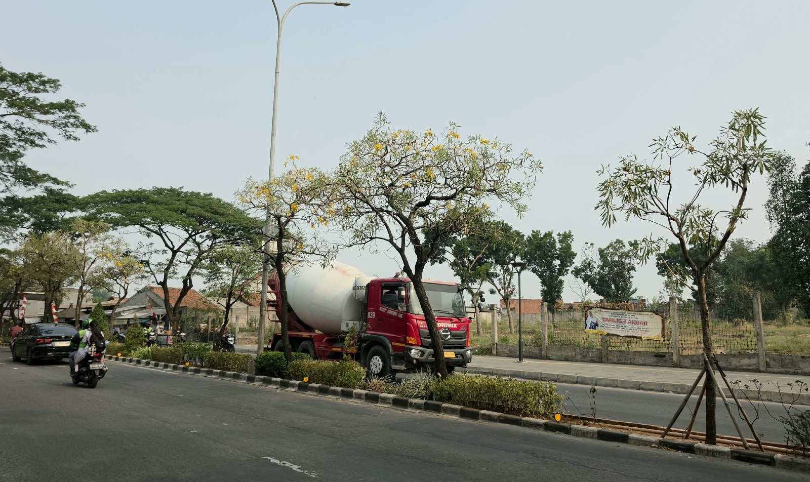 DLH Perbanyak Pohon Tabebuya