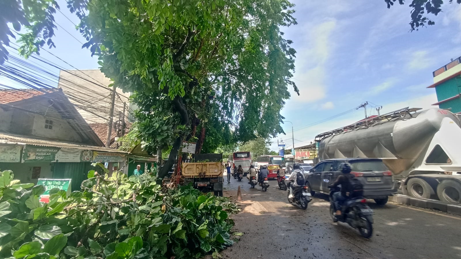 Enam Pohon Tumbang, DLH Percepat Pemangkasan