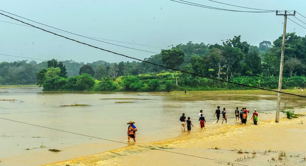 Terendam Banjir, 252,7 Hektar Sawah di Lebak Terancam Gagal Panen