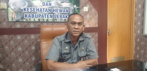 Petani Dataran Tinggi Diminta Tanam Sayuran