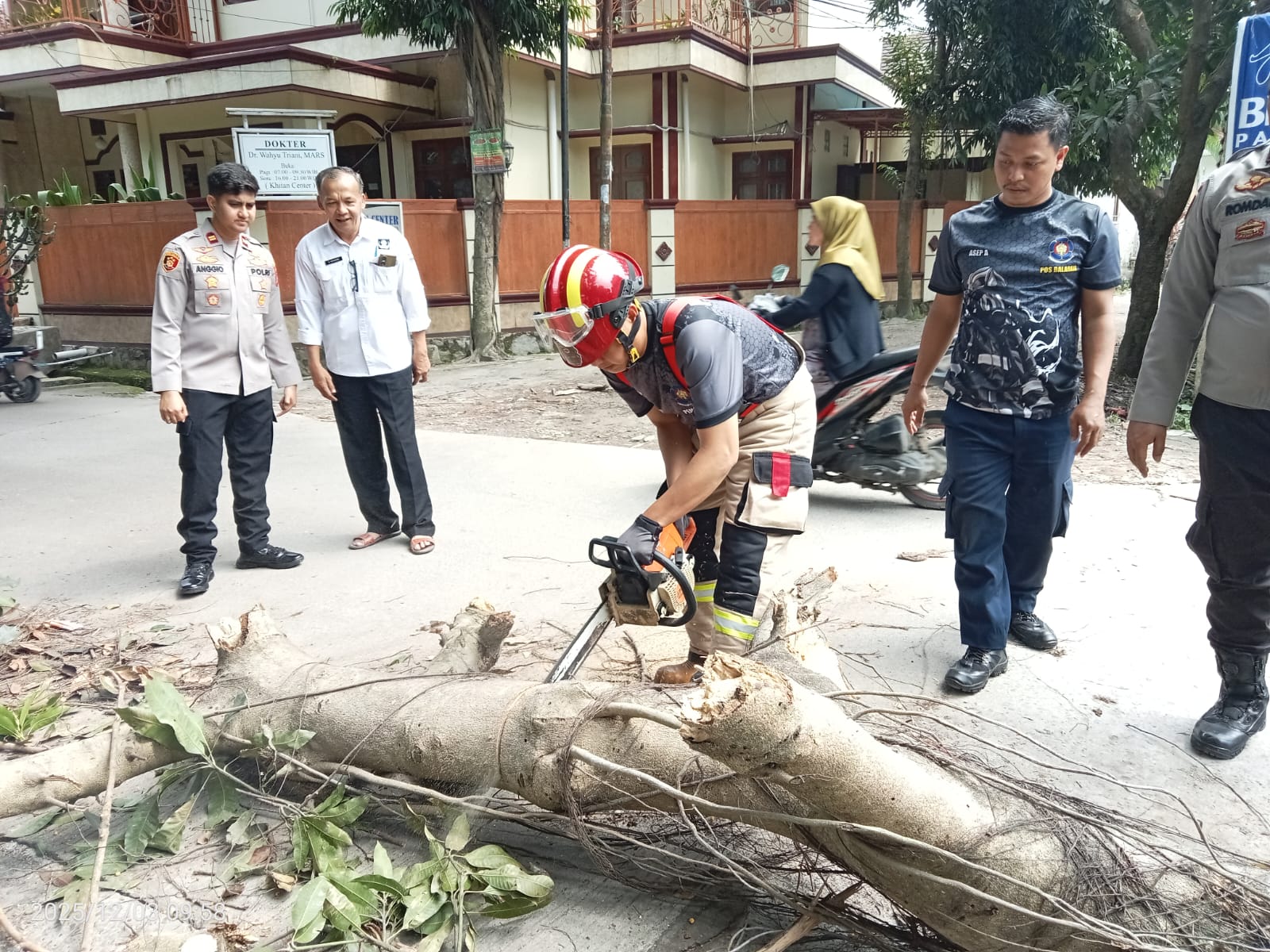 Cuaca Ekstrim, Pohon Tumbang Bersamaan di Empat Kecamatan