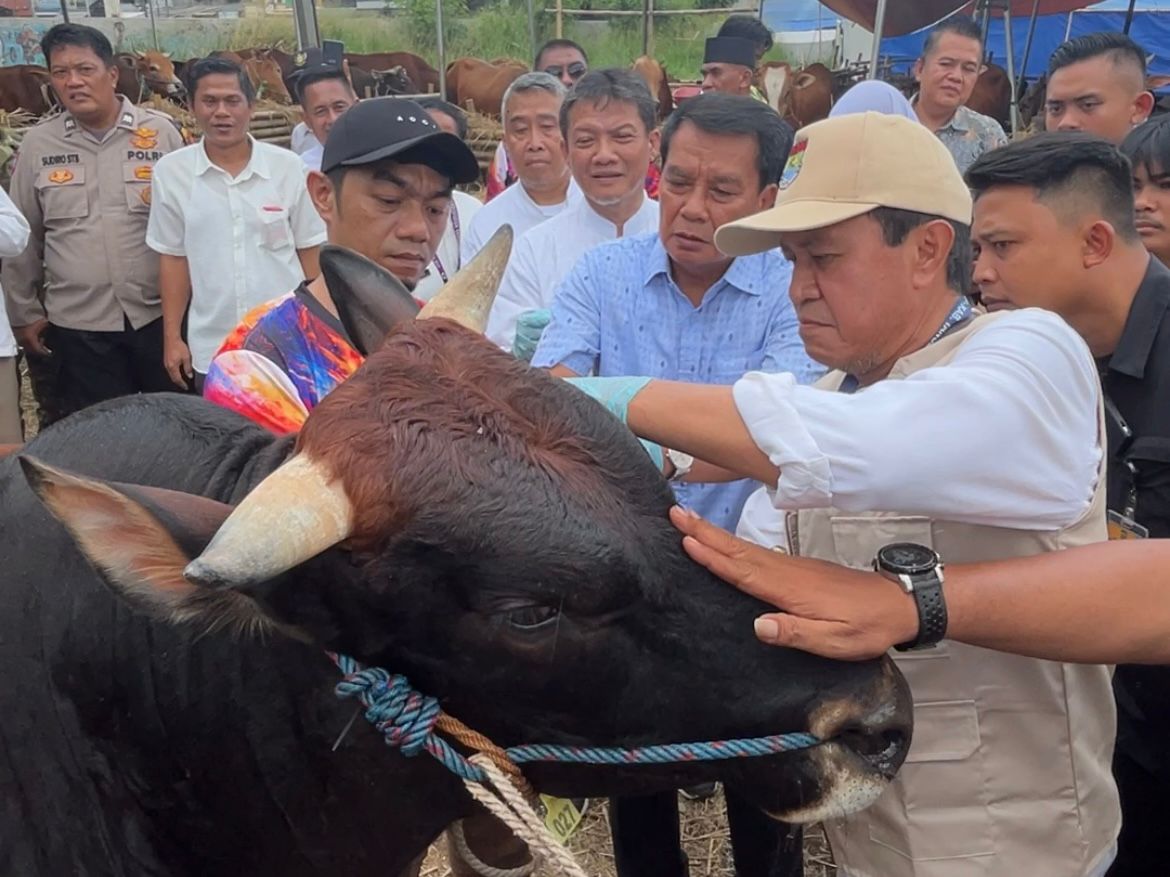Bupati Jamin Pastikan Kesehatan Hewan Kurban 