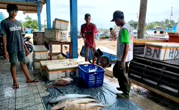 Retribusi TPI di Lebak Capai Rp 1,4 M Setahun Terbesar Se-Banten