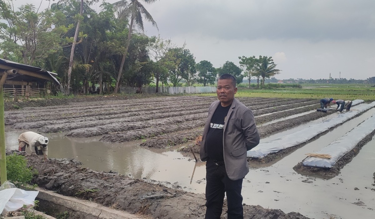 Obo Muda Berinovasi, Pelopori Mina Horti Hijaukan Desa Kayu Bongkok