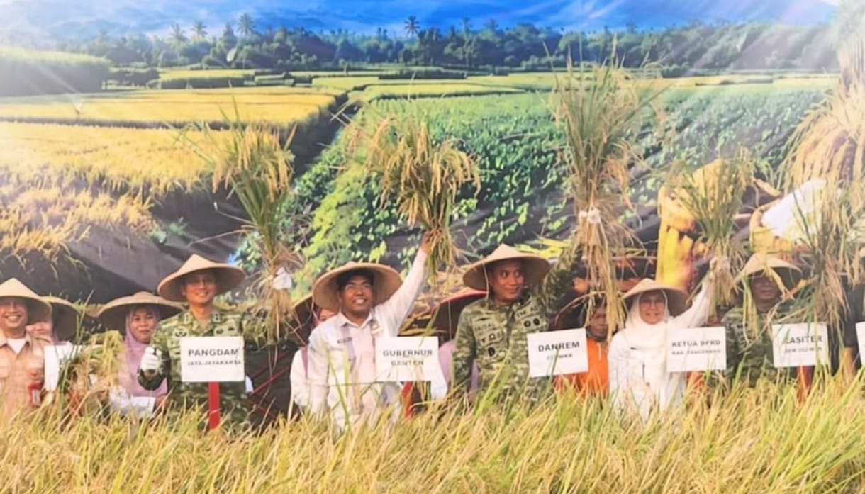 Ribuan Hektare Sawah Mengering dan Terancam Puso