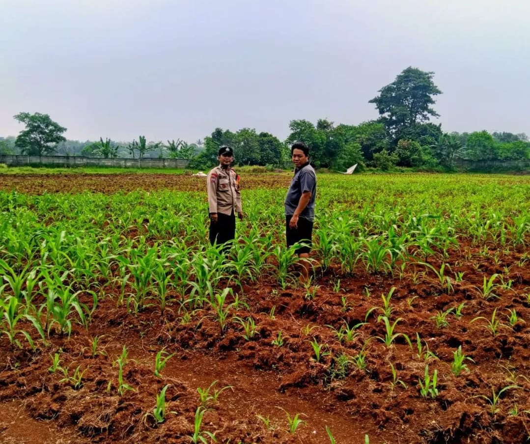 Polsek Panongan Dukung Program Ketahanan Pangan 
