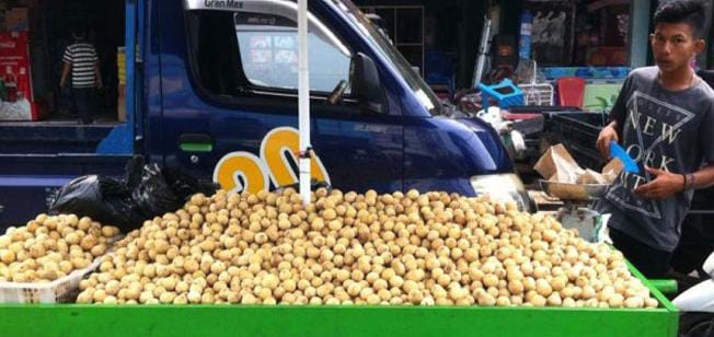 Permintaan Buah Dukuh Asal Lebak Meningkat