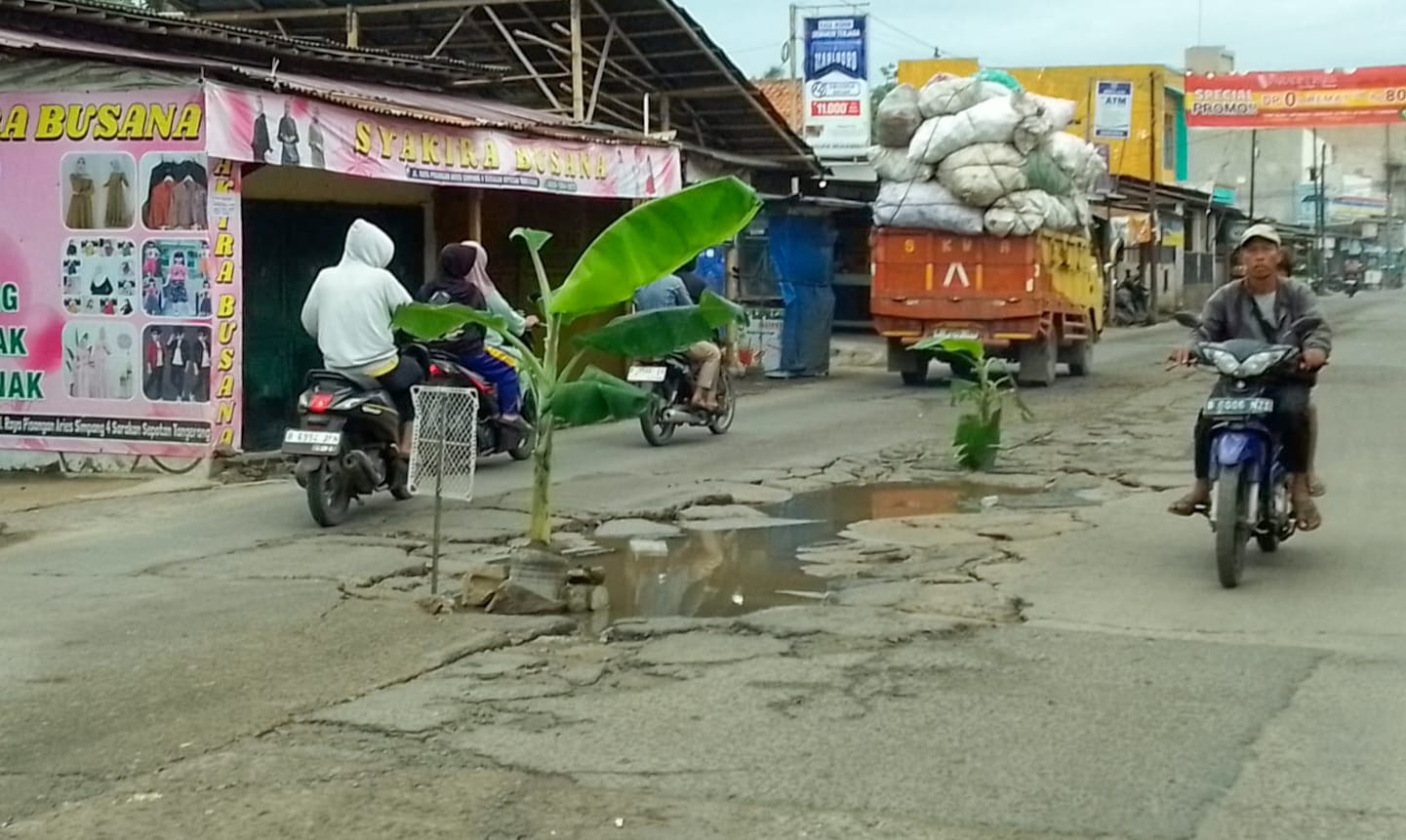 Sebagai Wujud Protes, Warga Tanam Pohon Pisang di Jalan Raya Pisangan Aries