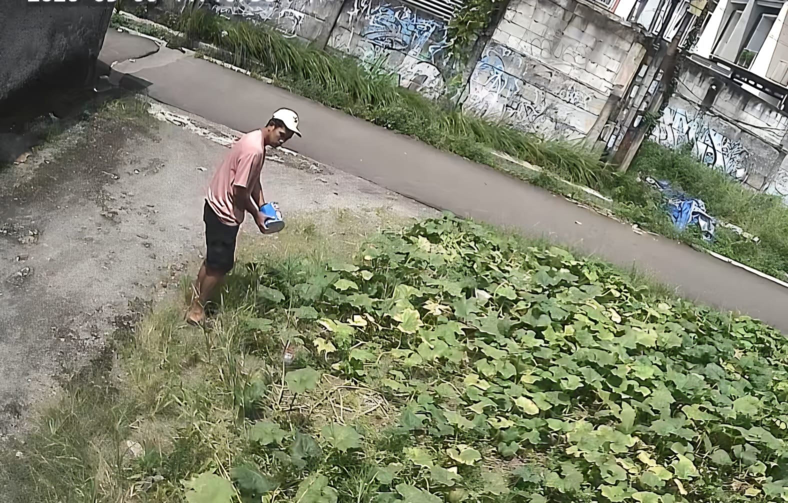 Maling Pedagang Sayur Kecele, Isi Kotak Cuma Recehan