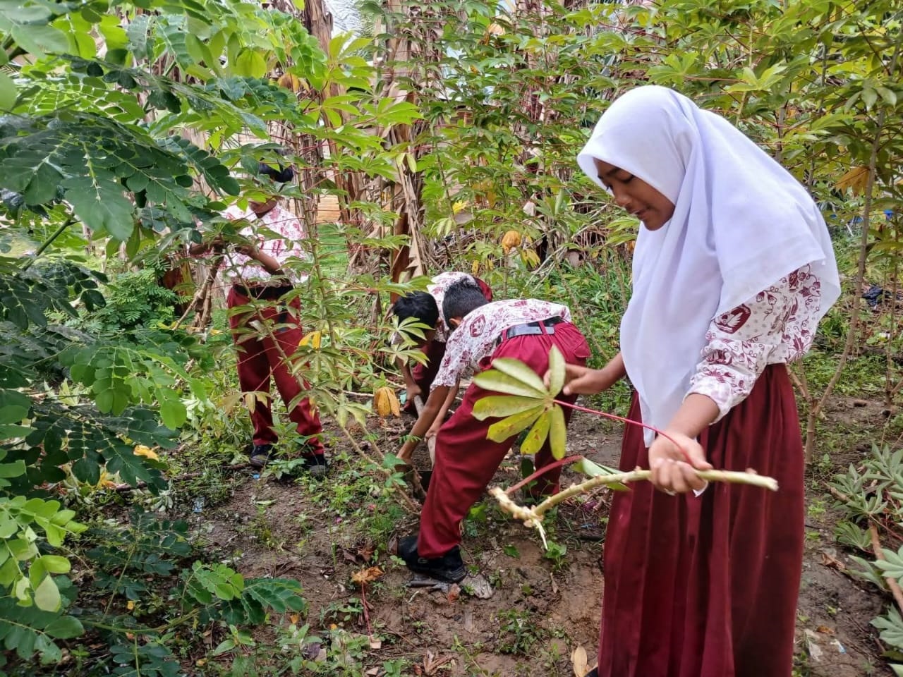 Melihat Konsep Pembelajaran Kontekstual SDN Jatake 5 Kota Tangerang, Belajar dari Tanah, Siswa Diajak Berkebun