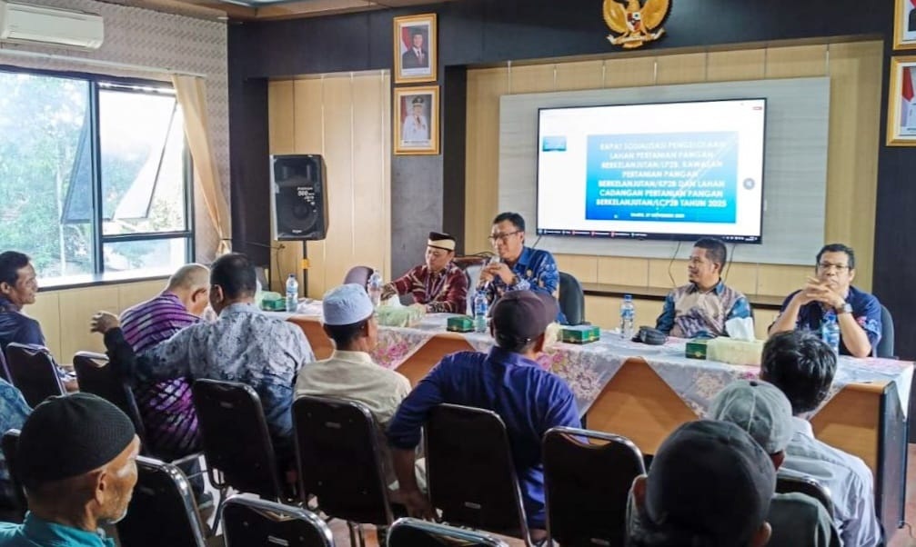 Lahan Pertanian Tersisa 200 Hektar