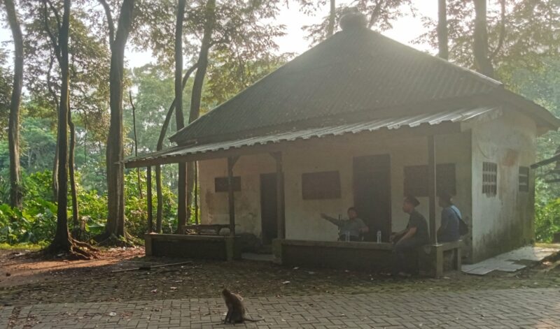 Di Antara Doa dan Sunyi Hutan Solear, Makam Kramat yang Ramai Diziarahi Namun Terlupakan
