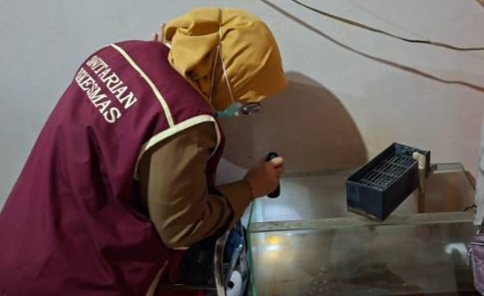 Pasca-Banjir, Warga Diminta Waspada DBD 