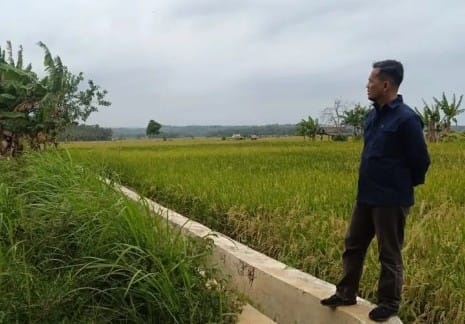 Distan Klaim Panen Agustus Capai 21 Ribu Hektare