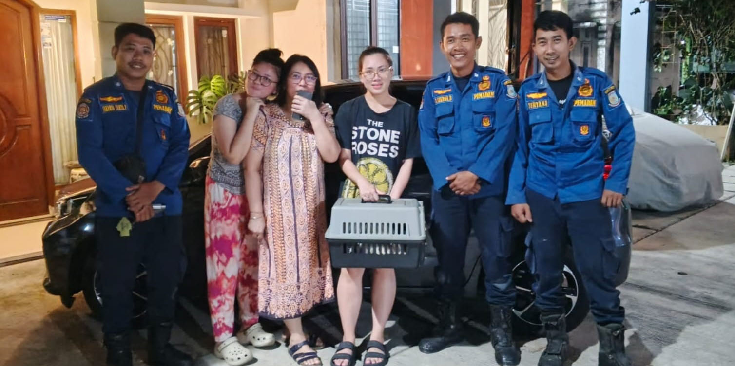 Evakuasi Kucing Hingga Ambilkan Balon