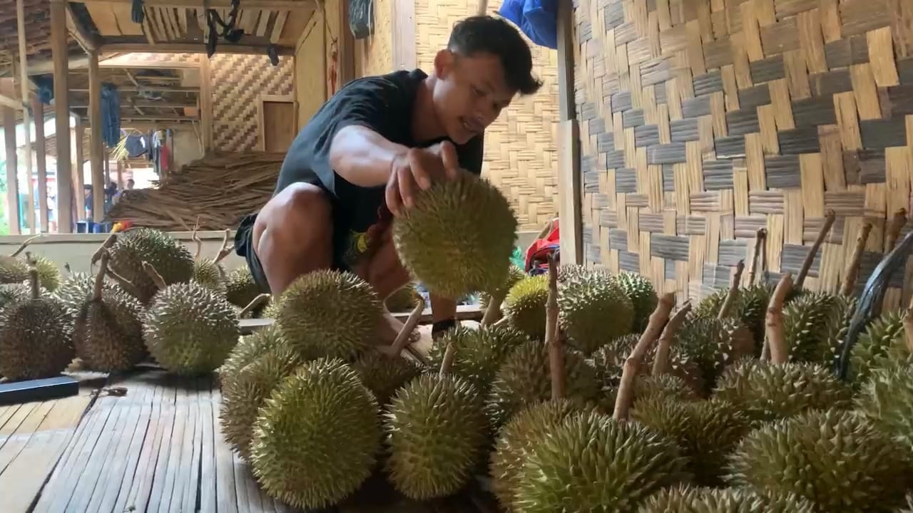 Musim Durian, Wisatawan Serbu Baduy