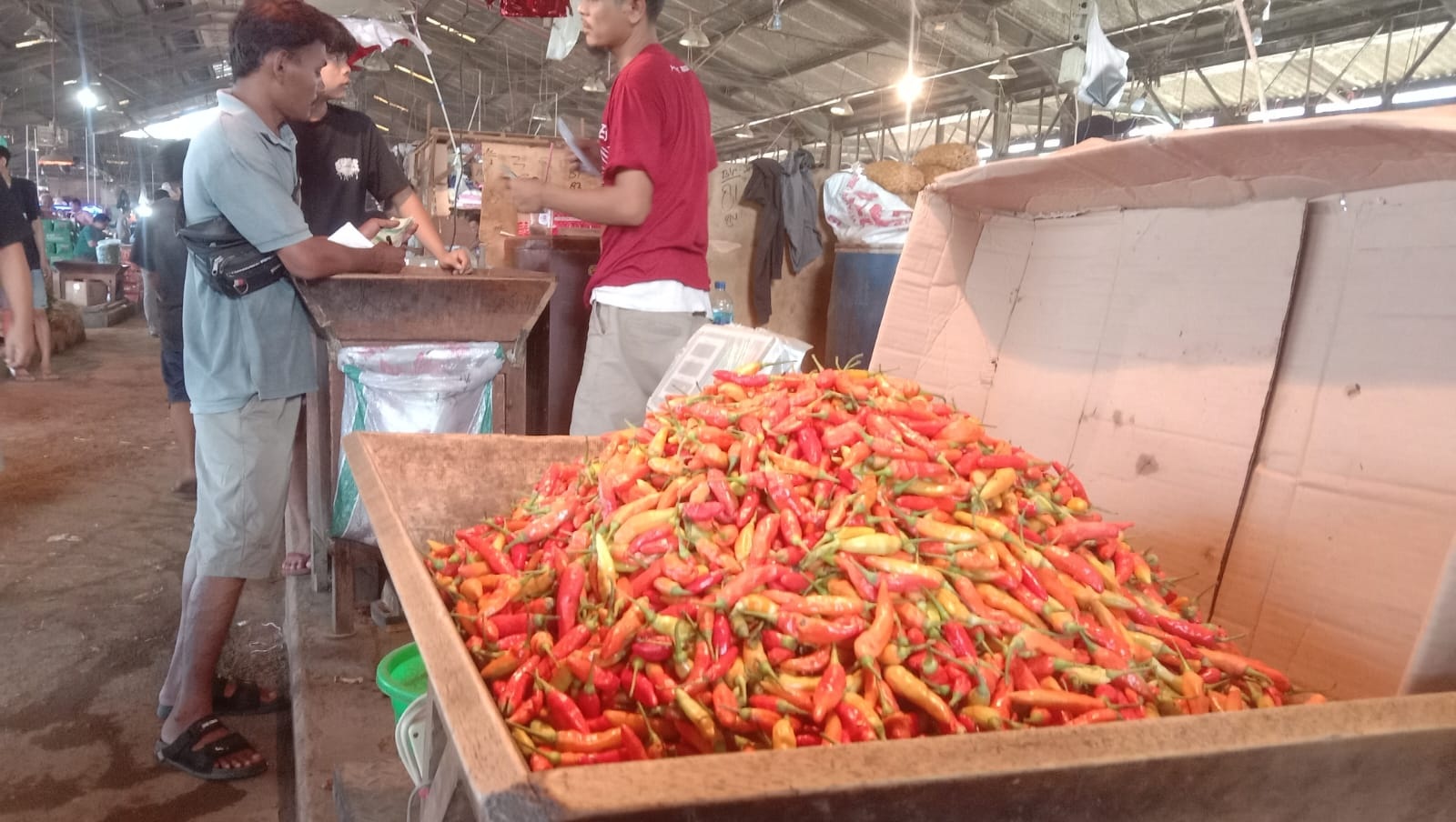Jelang Nataru, Harga Cabai Makin ’Pedas’