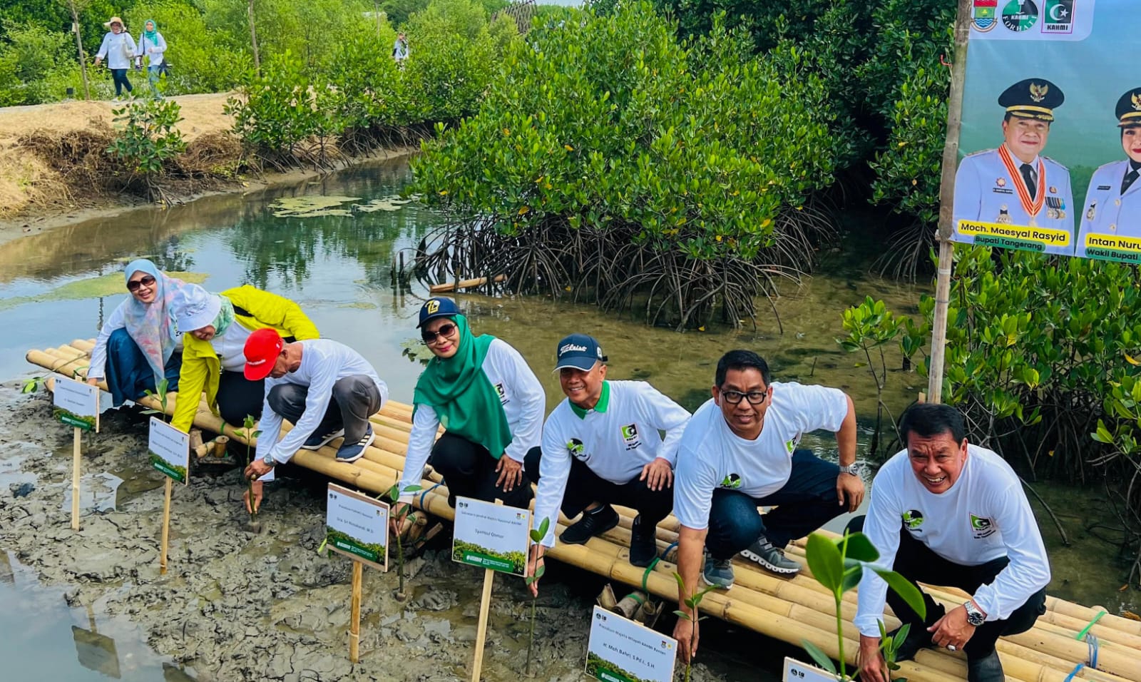 Hijaukan Pesisir Pantai, FORHATI dan MD KAHMI Tanam 2.000 Mangrove di Mauk