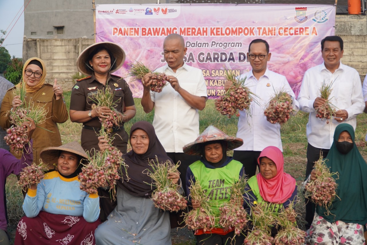 Jamintel Panen Bawang di Kabupaten Tangerang, Hasil Program Jaksa Jaga Desa