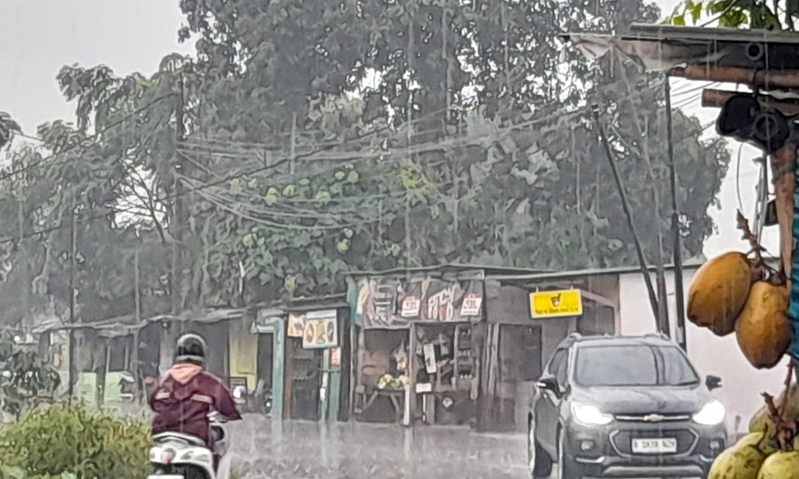 Lahan BBWS di Situ Pondok Disewakan Penggarap, Pedagang Sewa Lahan Rp10 Juta hingga Rp20 Juta Setahun