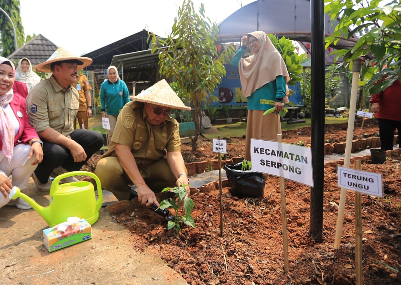 Benyamin Davnie Ajak Warga Tanam  Cabai 