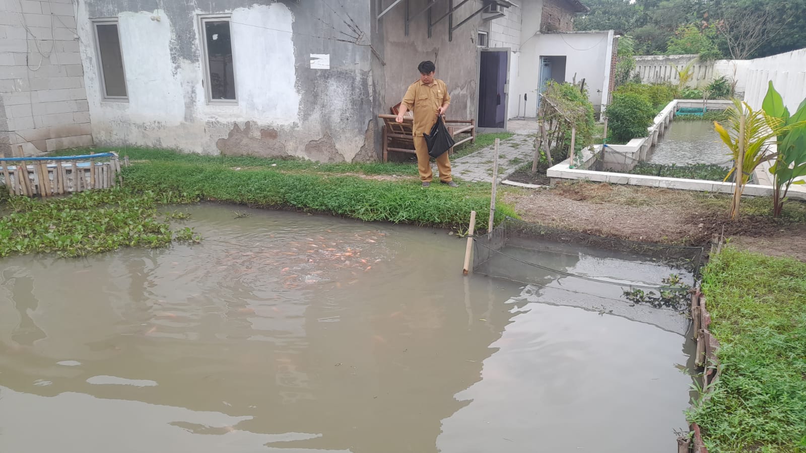 Kades Sangiang Manfaatkan Lahan Kosong di Kantor Desa Jadi Kolam Ikan