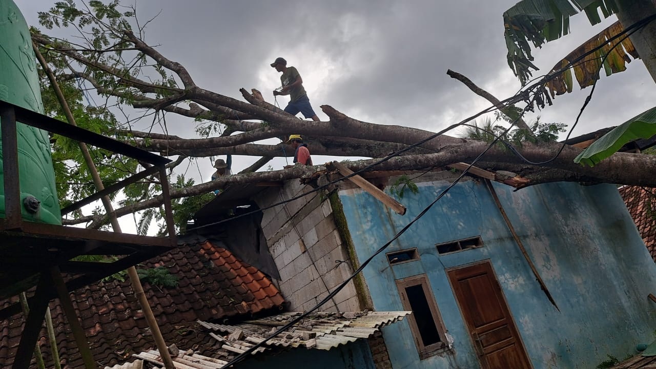 Pohon Tumbang dan Tebing Longsor, Rusak Empat Rumah Warga 
