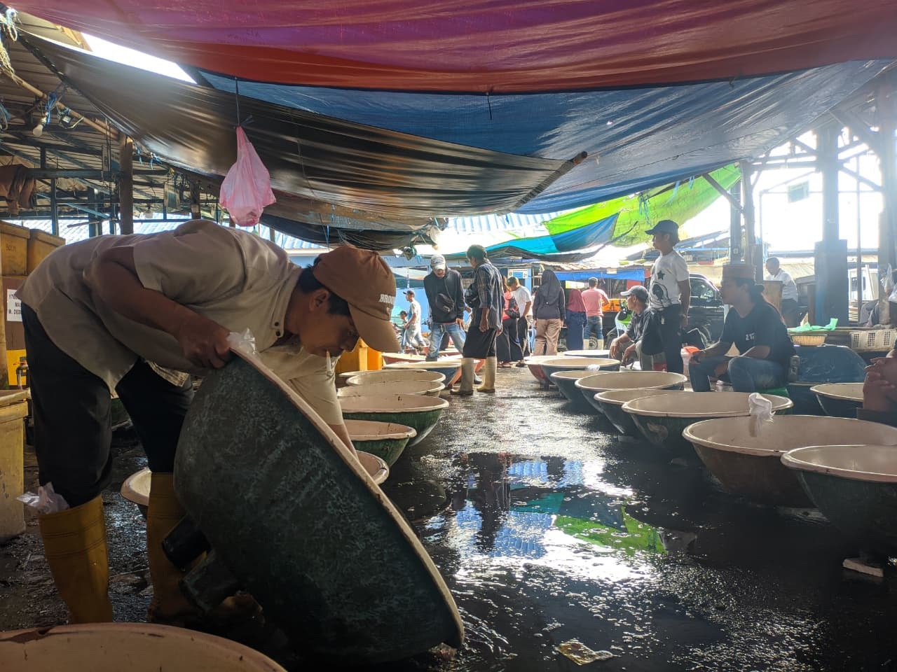 Jelang Imlek, Harga Bandeng Naik Tipis