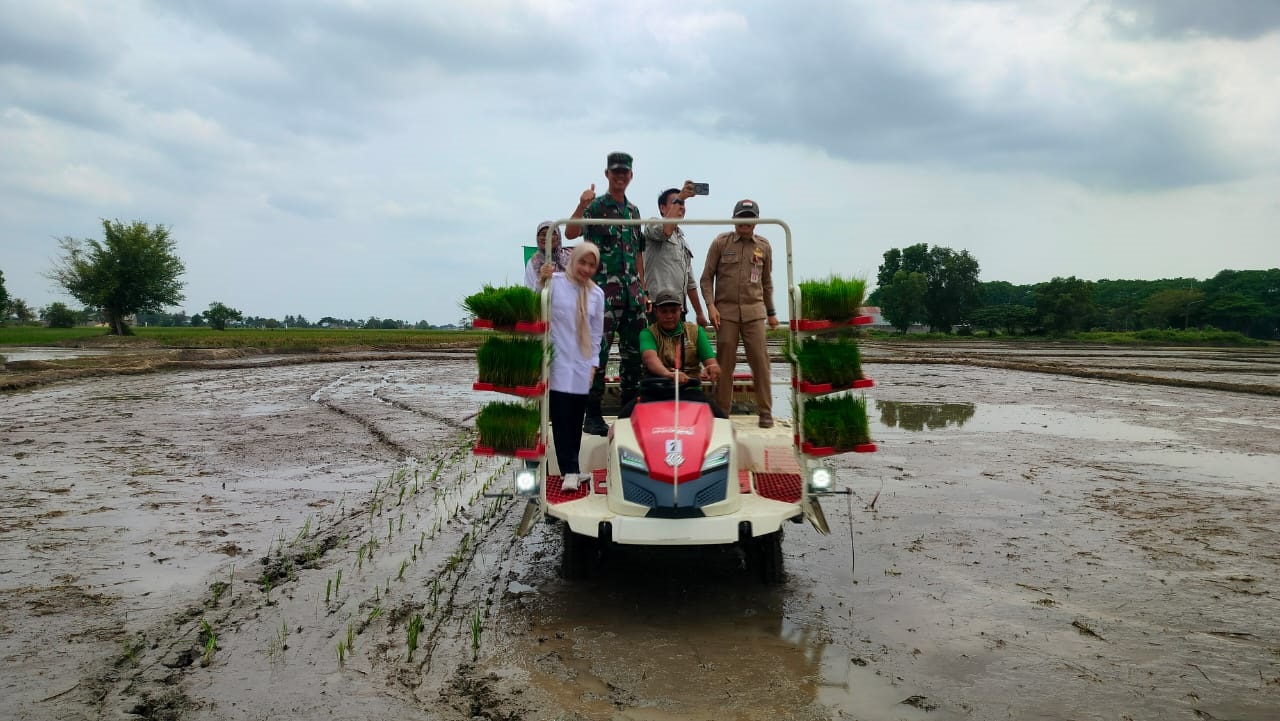 Bupati Akan Datangkan Mesin Tanam dan Panen Padi Modern 