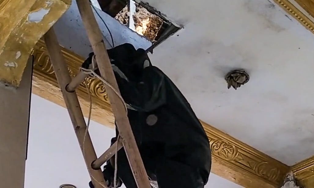 Petugas Damkar Evakuasi Sarang Tawon di Plafon Masjid